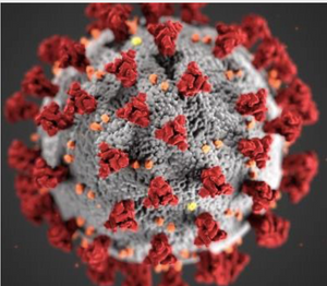 The Coronavirus Image